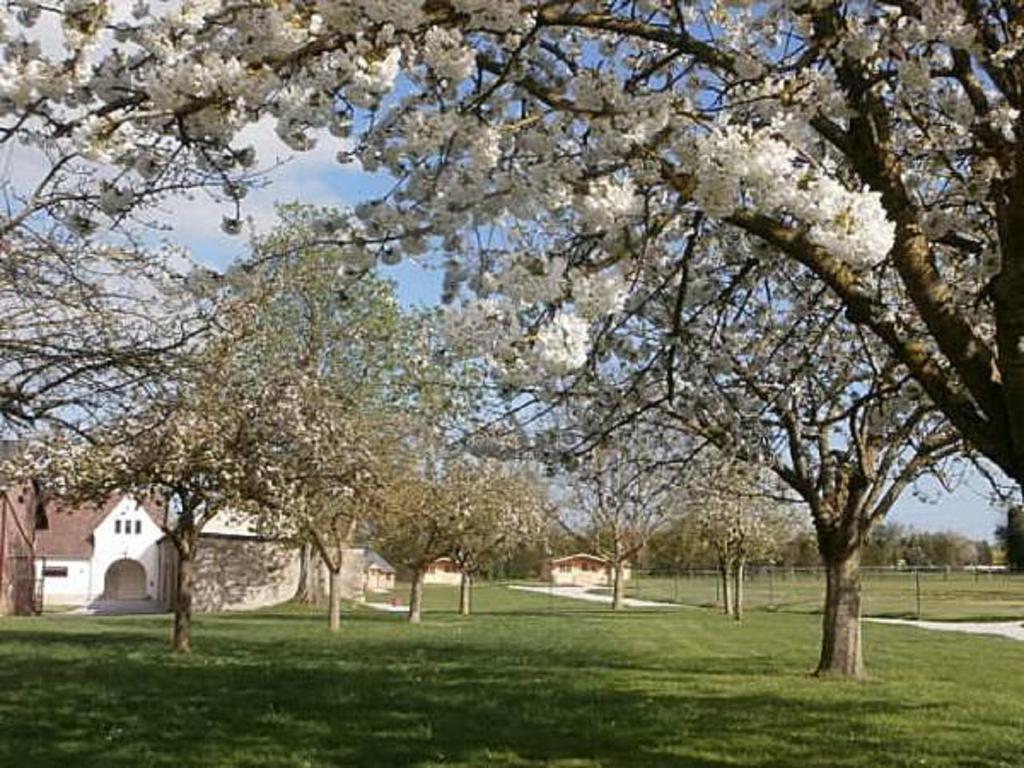 Domaine De Soignolles Hotell Exteriör bild
